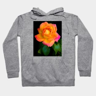 A Beautiful Arundel Rose Hoodie